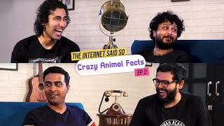 The Internet Said So  Ep 2  Crazy Animal Facts [upl. by Leahcimsemaj647]