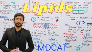 Lipids Introduction  Biology 11th  Chapter 2  Lecture 9 [upl. by Animor]