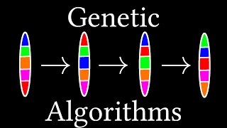 How algorithms evolve Genetic Algorithms [upl. by Anneis65]