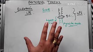 Bacterial toxin ।। Endotoxin in hindi [upl. by Nobel]