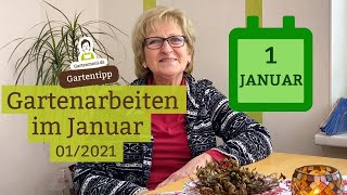 Gartenarbeiten im Januar Planen kontrollieren und vorbereiten [upl. by Ednutey]