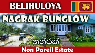 Non Pareil Estate  Nagrak Bungalow  Bakers Bend  Galagama Falls [upl. by Ranna893]