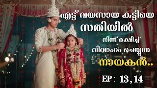 Barrister babu  Episode 1314  Malayalam Explanation [upl. by Aicenod642]