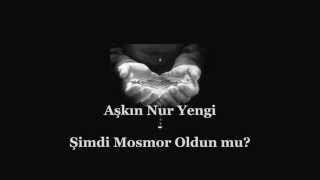 Aşkın Nur Yengi  Şimdi Mosmor Oldun mu Turkish Lyrics sözleri by JustLyrical4You [upl. by Amabel]