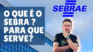 O que é o Sebrae para que serve [upl. by Ailuy62]