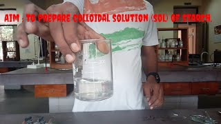 chemistry Experiment class 12 । lyophilic sol colloidal solution of starch [upl. by Eigroeg]