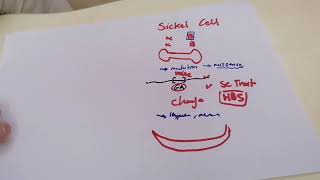 L5 Normocytic Anemia Part 3  SCD [upl. by Atsirtal]