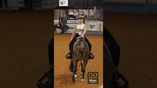 AQHA World Show 2024  L3 Amateur Western Pleasure [upl. by Schuyler902]