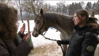 Tierkommunikation mit Tierkommunikatorin Dr Sabrina Hinneberg  wwwrederaumcom [upl. by Ailekat]