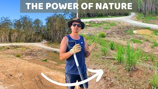 Natural Erosion Control Pt 1  Transplanting Local Grasses Lomandra amp Building a Rock Drain [upl. by Anitsyrc]