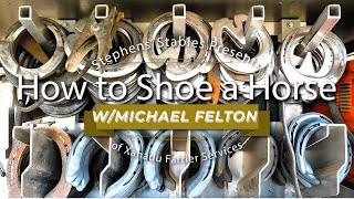 How To Shoe A Horse with Stephens Farrier [upl. by Dorraj]