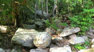 Drone Videography of Oribi Gorge Nature Reserve KwaZuluNatal [upl. by Longmire]