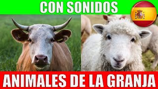 ANIMALES DE LA GRANJA para Niños Sonidos y Nombres en Español [upl. by Verney109]