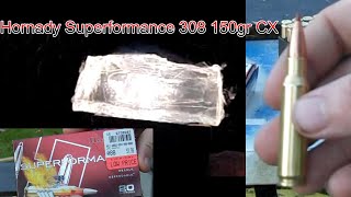 Hornady Superformance 308 winchester 150gr CX clear ballistics gel test and velocity [upl. by Ahsropal]