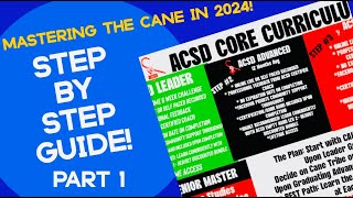 Cane Self Defense Mastering The Cane in 2024Step By Step Guide [upl. by Jarib]