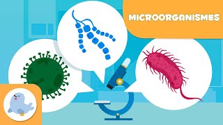 Què són els Microorganismes  Els bacteris els virus i els fongs per a nens en català [upl. by Atekin]