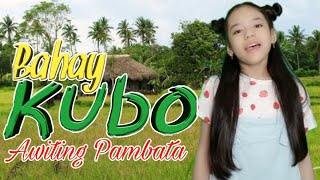 BAHAY KUBO  awiting pambata [upl. by Ahoufe]