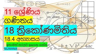 grade 11 maths184 අභ්‍යාසය 18 ත්‍රිකෝණමිතිය [upl. by Naelcm412]