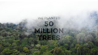 How 50 million trees have changed the world [upl. by Annette]