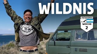 ES WIRD WILD overlanding VWT3 southamerica [upl. by Maya353]