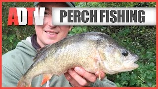 How To Catch Perch  Perch Fishing Tips [upl. by Lingwood518]