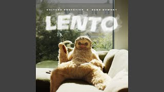 Lento [upl. by Niram]