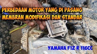 Cara Mudah Stel Memrane F1zr buat tambah perporma tenaga motor Makin Gesit [upl. by Satterfield]