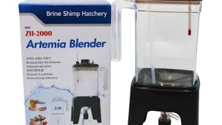 Ziss ZH2000 Artemia Hatchery Blender growing brine shrimp  koi fry are growing [upl. by Drarreg]