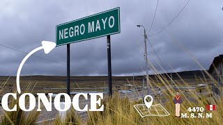 Conoce Negro Mayo Ayacucho Perú [upl. by Dahle]