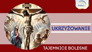 Różaniec Piąta tajemnica bolesna  UKRZYŻOWANIE [upl. by Akital]