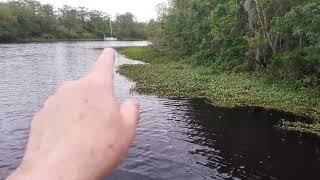 St Johns River FL 21day cruise Part 2 on a 1971 HOBO houseboat [upl. by Moberg338]