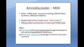 Pharmacology 743 a Aminoglycoside Streptomycin Gentamicin Tularemia Concentration Post Antibiotic [upl. by Schach456]