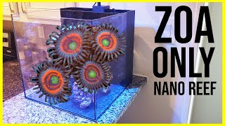 Step 1  Aquascaping the ZoanthidOnly Nano Reef [upl. by Atsahs]