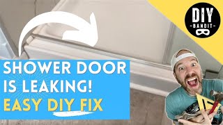 🔥 Gap in Glass Shower Door Threshold Is Causing Water to Spray Out Leak➔ How to Easily DIY Fix It [upl. by Merideth]