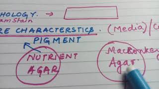 Gram negative bacilli  easy lecture [upl. by Trimmer]