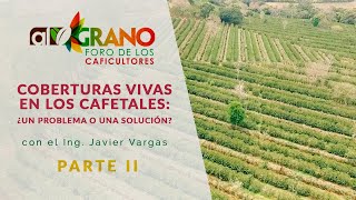 Coberturas vivas en los cafetales ¿Un problema o una solución Parte II [upl. by Lemor25]