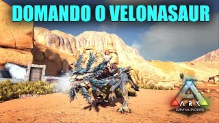 Como Domar e Habilidade do Velonasaur  Ark Extinction PT BR [upl. by Auqenaj]