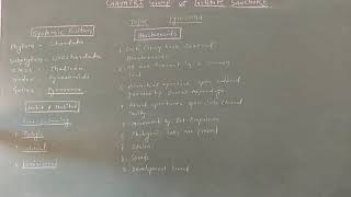 M Sc Zoology Pyrosoma Life cycle [upl. by Kcirdle]