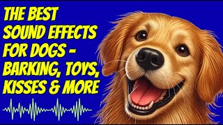 Best Sound Effects For Dogs Barking Squeaky Toys Kisses amp More [upl. by Veejar]