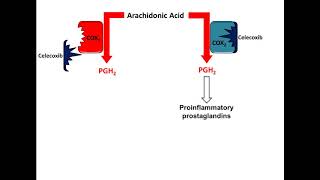 Celecoxib NSAID Mechanism of Action [upl. by Tallu]