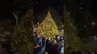 Midsomer Norton Christmas Tree light switch on 2024 christmas christmastree christmaslights [upl. by Lohse]