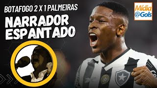 Botafogo 2 x 1 Palmeiras NARRADOR ARGENTINO se Arrepiou [upl. by Mirilla46]