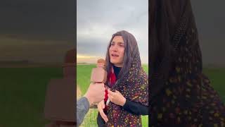 سەلمان ڤاینس نەورۆز😂😂😂 salman vines nawroz😂😂😂 [upl. by Acisej]