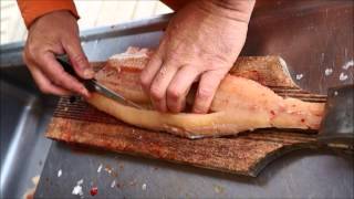 How to fillet a Northern Pike  KaBeeLo Tutorial [upl. by Bindman]