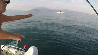 Pesca sul Garda 14 giugno prime sardelle [upl. by Ralston]