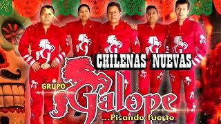 Grupo Galope Mix Exitos Nuevos Puras Chilenas Mixtecas 2023 [upl. by Yellas]