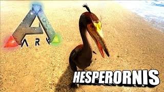 Taming A Hesperornis  Ark Survival Evolved  The Island [upl. by Marty]