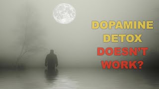 The PROBLEM with Dopamine Detox Is It Actually Worth It [upl. by Agathy]