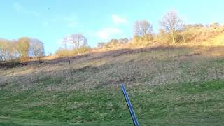 Warter priory pheasant shooting in slow motion with Ben Husthwaite [upl. by Ydollem]