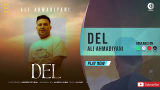 Ali Ahmadiyani  Del  OFFICIAL AUDIO TRACK علی احمدیانی  دل [upl. by Rutherford]